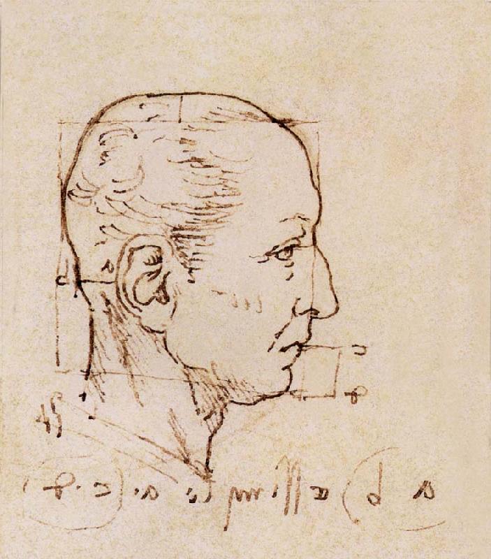 LEONARDO da Vinci Study of the proportion of the head Germany oil painting art